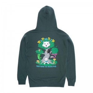 Bluza z Kapturem Ripndip Adventure Club Zielone | PLD3166F