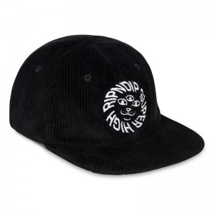 Kapelusz Ripndip Kinetic Field 6 Panel Corduroy Strapback Czarne | PLO2665K