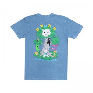 Koszule Ripndip Adventure Club Niebieskie | PLC2865T