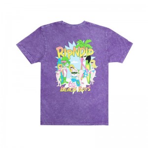 Koszule Ripndip Beach Boys Fioletowe Niebieskie | PLB2920E