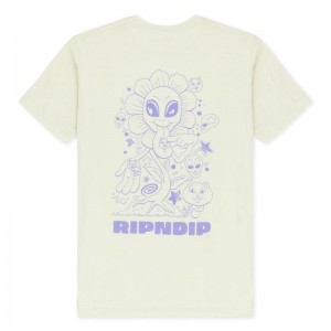 Koszule Ripndip Dance Forever Głęboka Zielone | PLK2843O