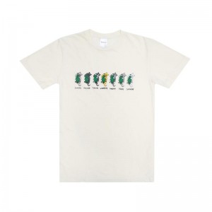 Koszule Ripndip Days Of The Week Beżowe | PLV2866R