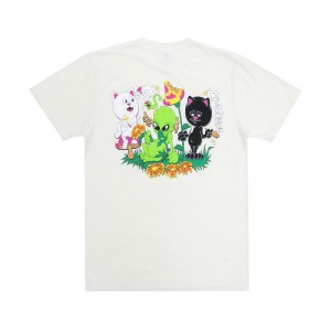 Koszule Ripndip Friday Jr Beżowe | PLW2968N