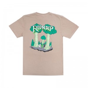 Koszule Ripndip Strange Forest Khaki | PLT2874C