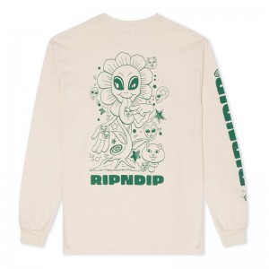 Long Sleeve Ripndip Dance Forever Beżowe | PLN3036W