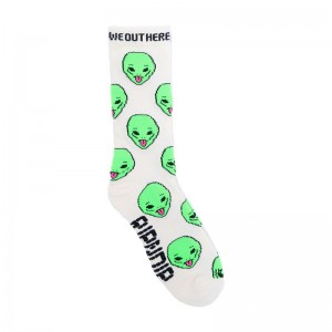 Skarpetki Ripndip We Out Here Kremowe | PLL3288I