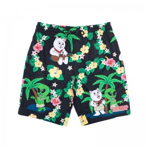 Spodenki Ripndip Aloha Nerm Swim Czarne | PLF2786D